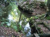 A1160 Strijbeek Hondsdonk Valkenberg 113 277 Meer GPS wandelingen kunt u vinden op  www.gpswalking.nl